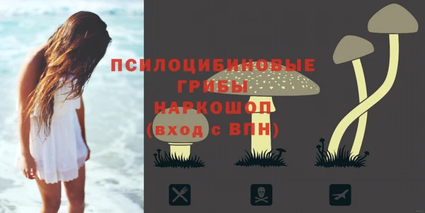 а пвп мука Козельск