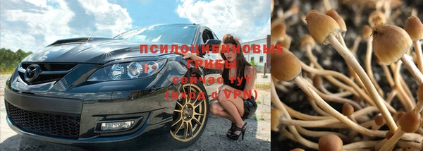таблы Кодинск