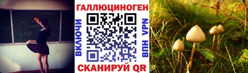 Галлюциногенные грибы Psilocybe  Купить где  Арск 